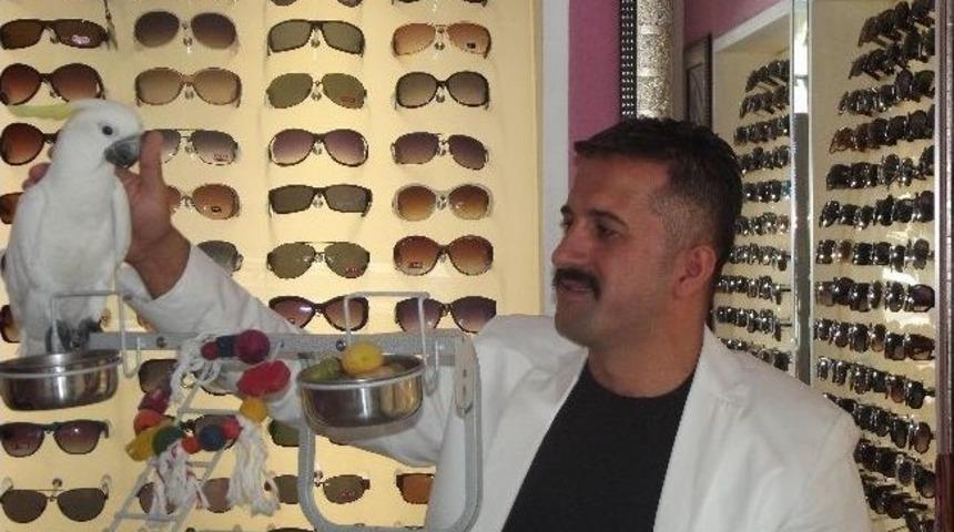 Kaybolan Papağanı Bulana Para &Ouml;d&uuml;l&uuml; Verecek