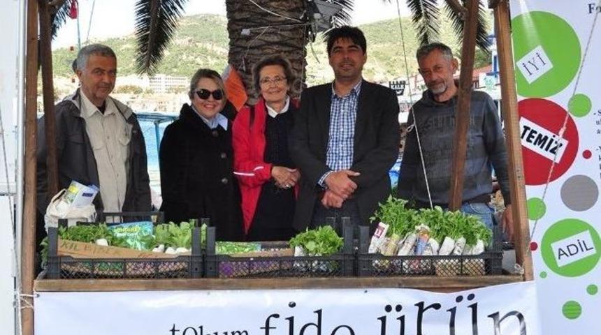 Yerel Tohumlar Fo&ccedil;a&rsquo;da Paylaşıma Sunuldu