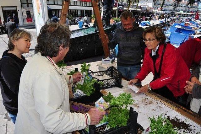 Yerel Tohumlar Foça’da Paylaşıma Sunuldu