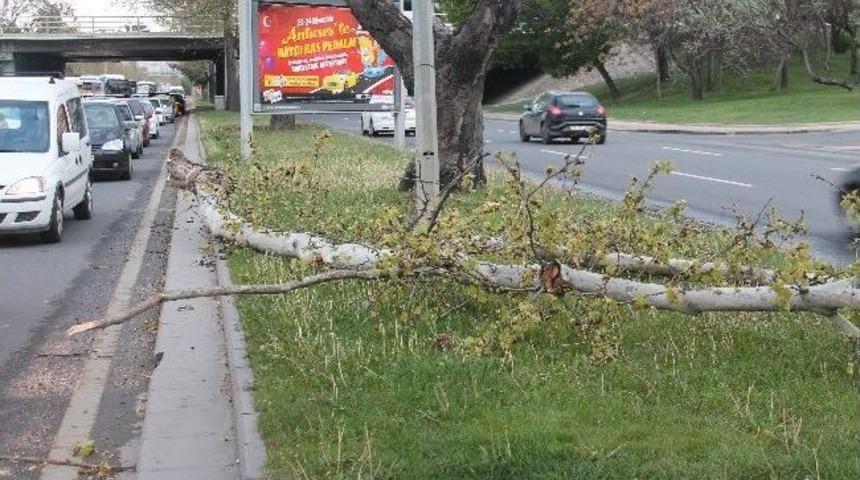 Ankara'da R&uuml;zgar, Trafiği Ve Ara&ccedil;ları Etkiledi