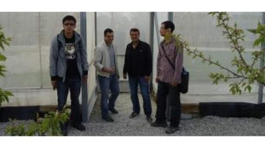 &Ccedil;in Heyeti Kayısı Araştırma İstasyonu&rsquo;nda İnceleme Yaptı