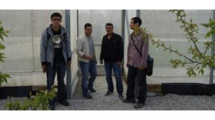 &Ccedil;in Heyeti, Kayısı Araştırma İstasyonu&rsquo;nda İnceleme Yaptı