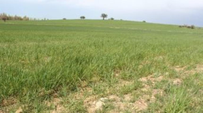 &Ccedil;ift&ccedil;inin Ektiği &Uuml;r&uuml;n Uydudan Kontrol Edilecek