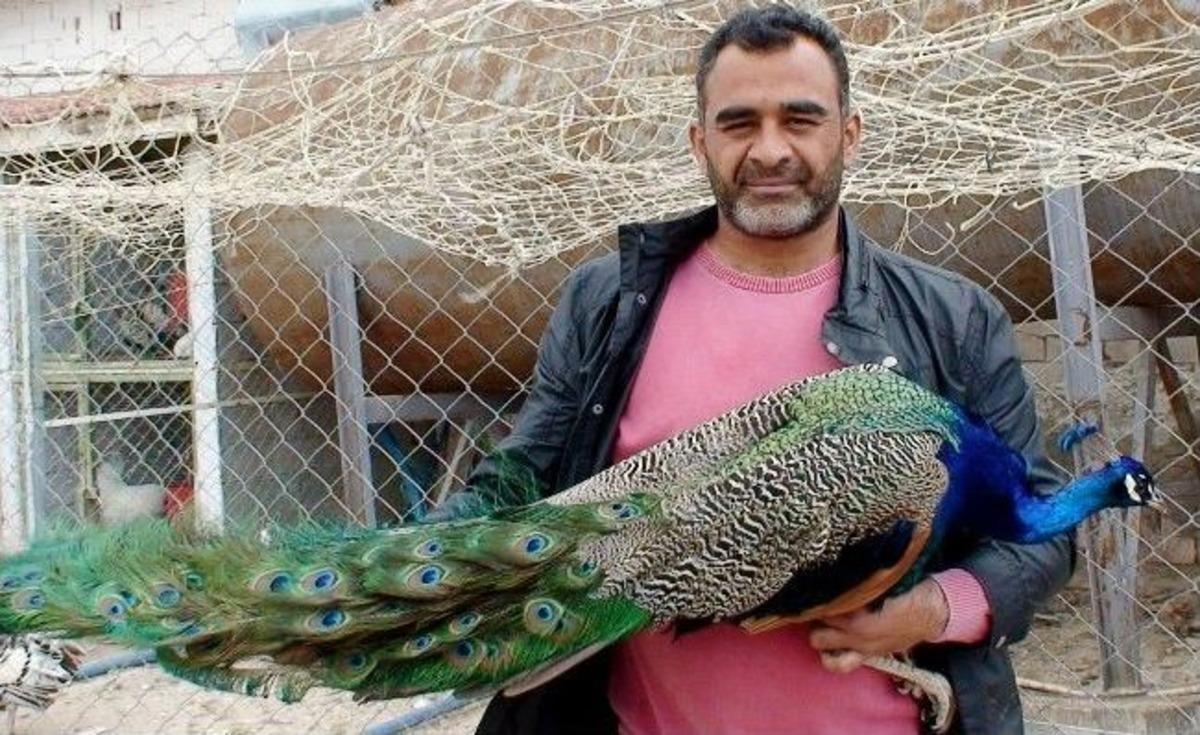 (&ouml;zel Haber) &Uuml;&ccedil; Tavukla Başladı, Hayvanat Bah&ccedil;esine D&ouml;n&uuml;şt&uuml;rd&uuml;