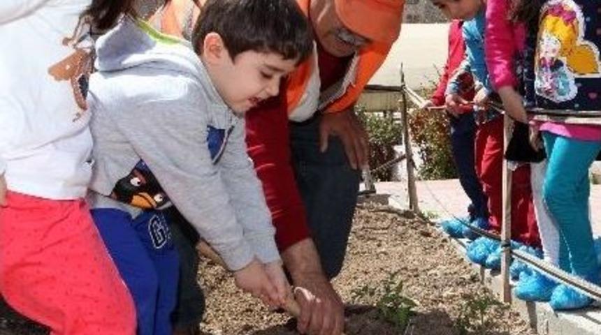 Minik Bah&ccedil;ıvanlar İş Başında