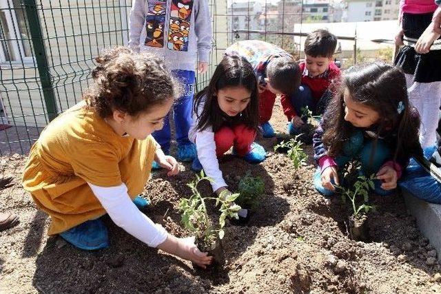 Minik Bah&ccedil;ıvanlar İş Başında 1