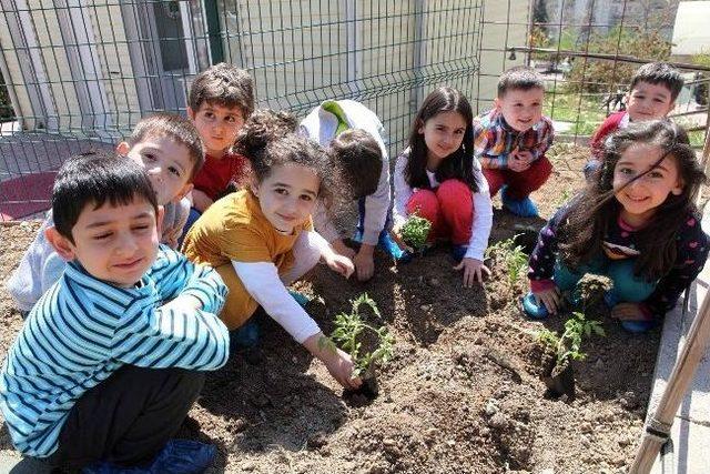 Minik Bah&ccedil;ıvanlar İş Başında 2