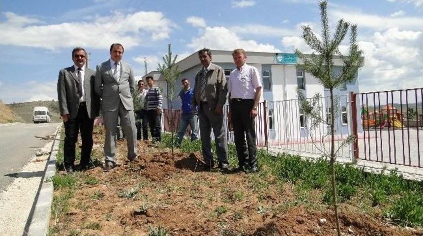 H&uuml;seyin &Uuml;ster &Ouml;zel Eğitim Okulu Ağa&ccedil;landırıldı