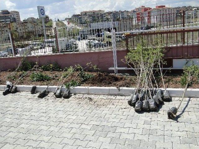 Hüseyin Üster Özel Eğitim Okulu Ağaçlandırıldı