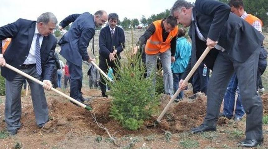 Kastamonu&rsquo;da &Ouml;ğrenciler, Fidan Dikti