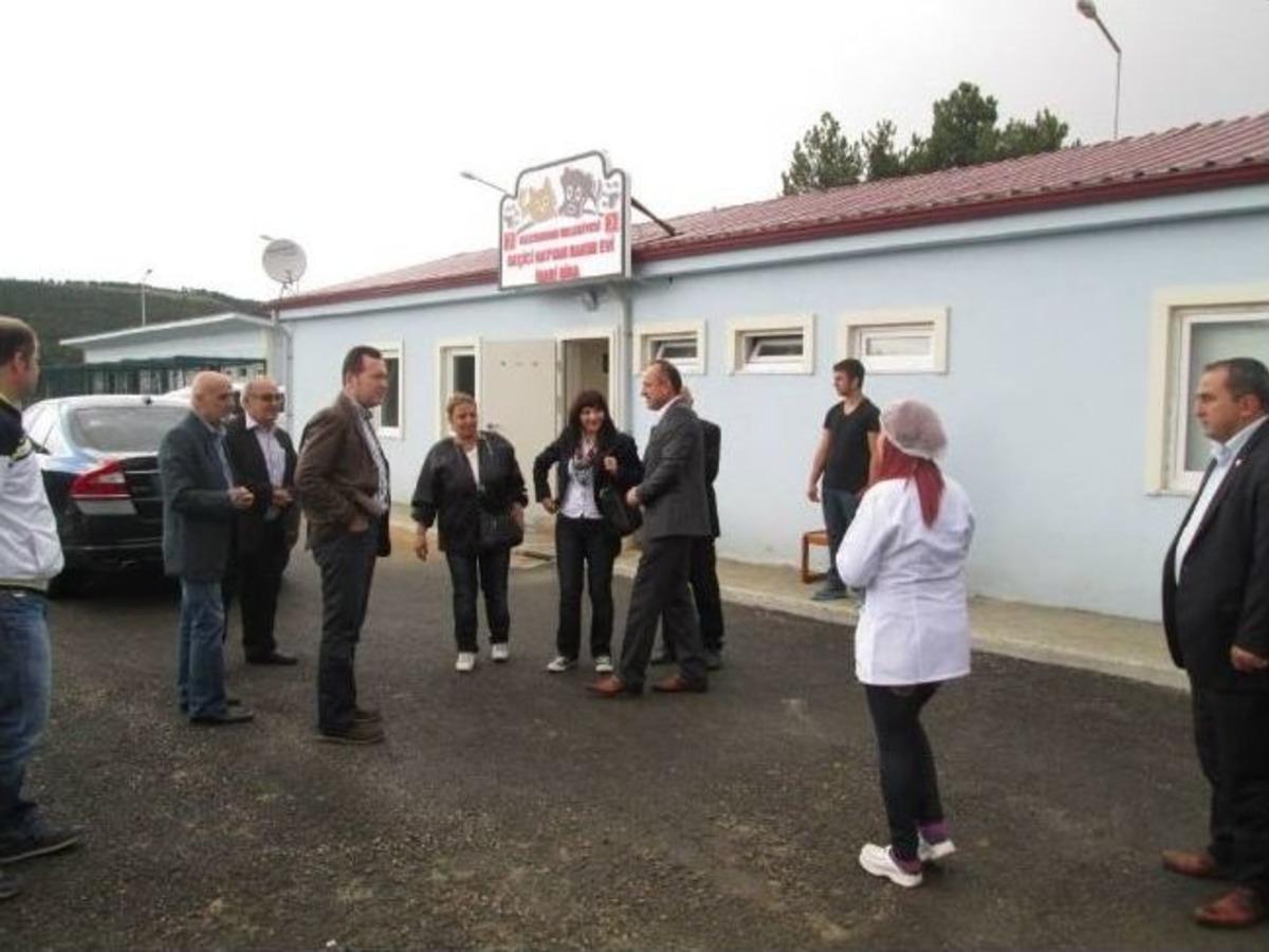Başkan Babaş&rsquo;tan Hayvan Bakımevine Ziyaret