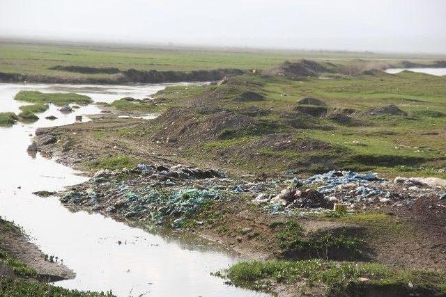 Uluslar Arası Ramsar Sözleşmesinde Koruma Altına Alınan Sazlık Çöplüğe Dönüştü