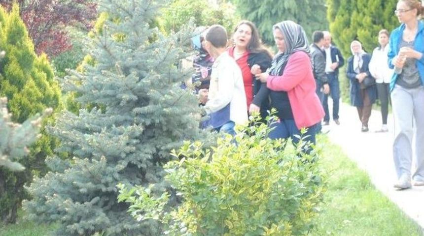 4.kattan D&uuml;şerek Hayatını Kaybetti