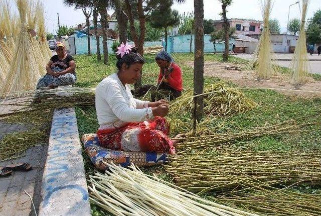 Romanlar Turizm Sezonu Hazırlıklarına Bu Yıl Erken Başladı 1