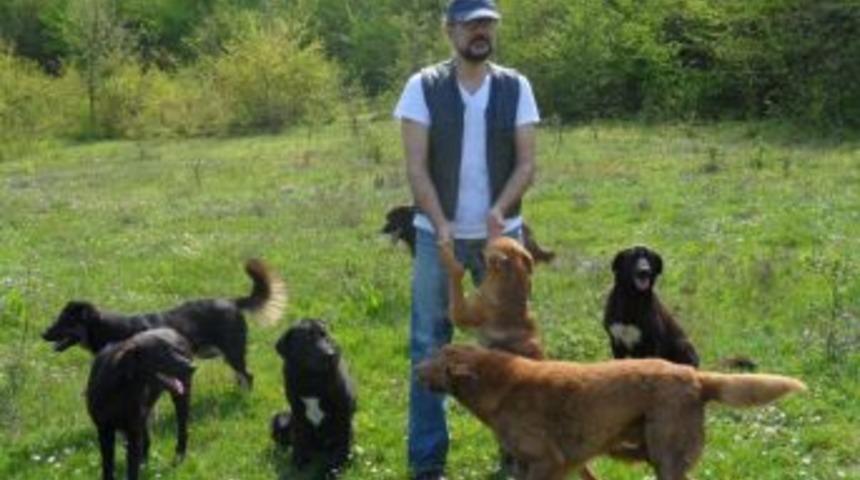 Sahipsiz hayvanlara kendi imkanları ile bakıyor