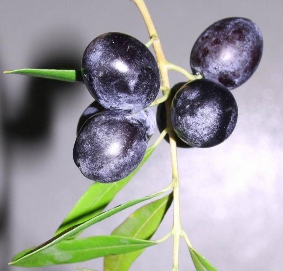 Bu Proje D&uuml;nyada Bir İlk