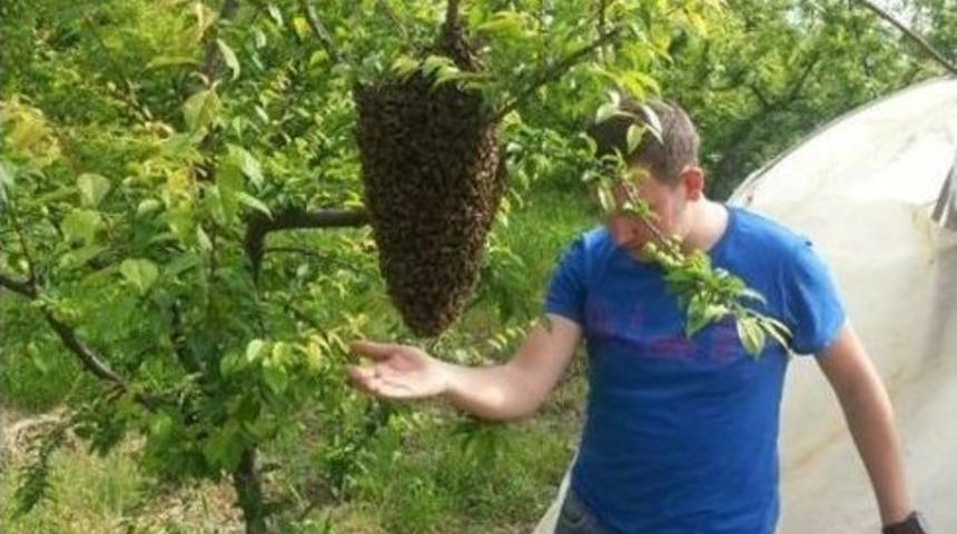 Lapsekili Arıcılar Bereketli Bahar D&ouml;nemi Ge&ccedil;iriyor