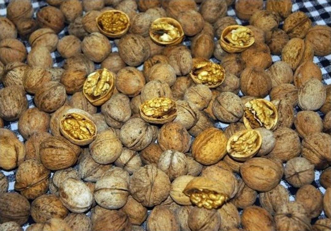 (&ouml;zel Haber) Ceviz Fiyatlarına Soğuk Hava Şoku