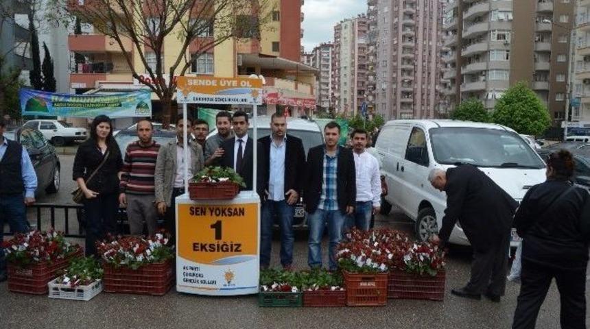 Hazreti Muhammed'in Doğumunun Bin 443. Yılında Bin 443 G&uuml;l Dağıttılar