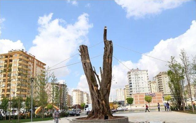 Şehitkamil Meydanı ‘bin Yıllık’ Tarihleriyle Hizmete Giriyor