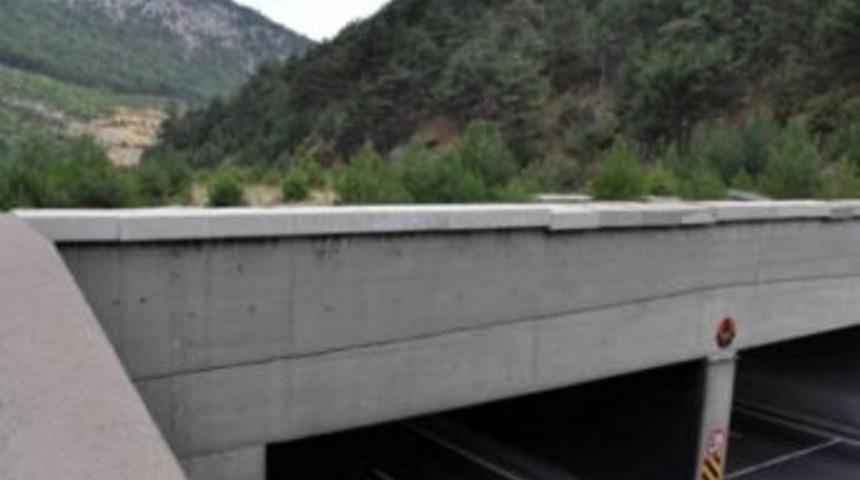 Karayollarına Yaban Hayvanları İ&ccedil;in Ekolojik K&ouml;pr&uuml; Kuruluyor