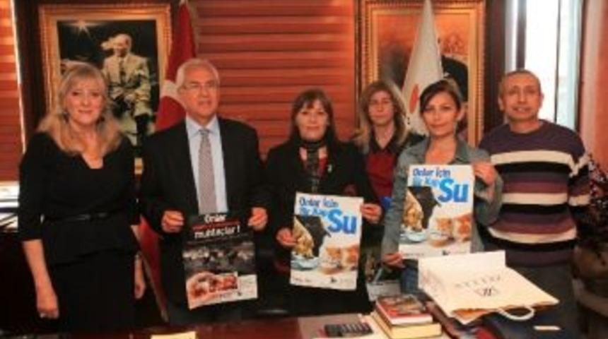 Başkan Selvitopu'ndan Hayvanseverlere S&ouml;z