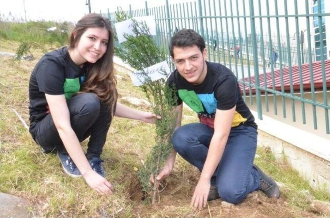 İyilik Ağacı K&ouml;k Salıyor