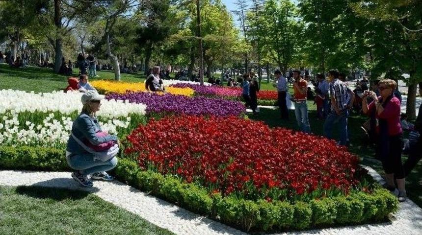 Konyalılar Alaeddin Tepesi&rsquo;ndeki Lale Bah&ccedil;esine Akın Etti