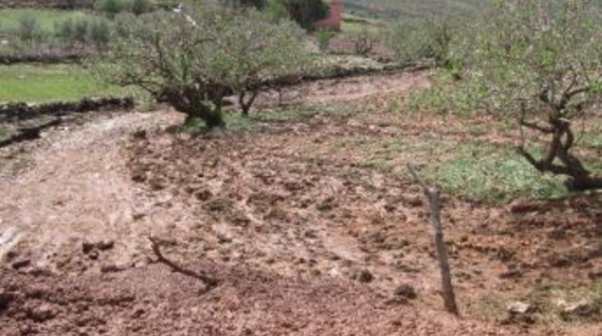 Araban&rsquo;da Hasar Tespit &Ccedil;alışması Başlatıldı