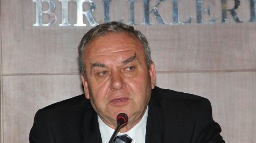 Zeytin Ve Zeytinyağı Sekt&ouml;r&uuml;nde Barış R&uuml;zg&acirc;rları Esiyor