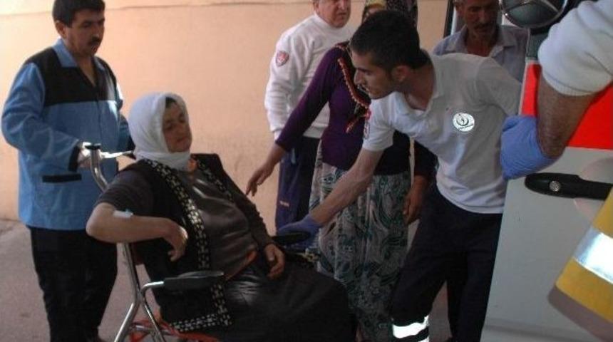 Sağılmak İstenen İnek Sahibini Yaraladı