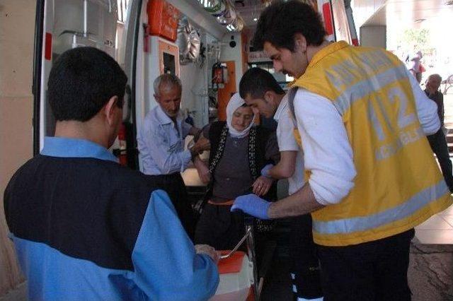 Sağılmak İstenen İnek Sahibini Yaraladı 1