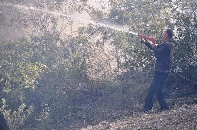 Osmaniye’de Çıkan Orman Yangınında 1 Hektar Kızılçam Kül Oldu