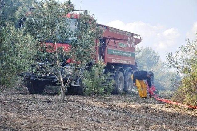 Osmaniye’de Çıkan Orman Yangınında 1 Hektar Kızılçam Kül Oldu