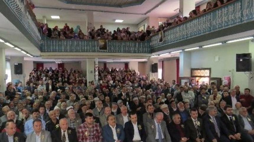 Kutlu Doğum Sevgisi Salonlara Sığmadı