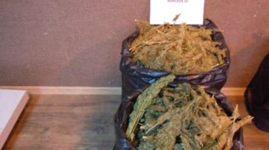 İki Ayrı Operasyonda 62 Kilo Esrar Ele Geçirildi