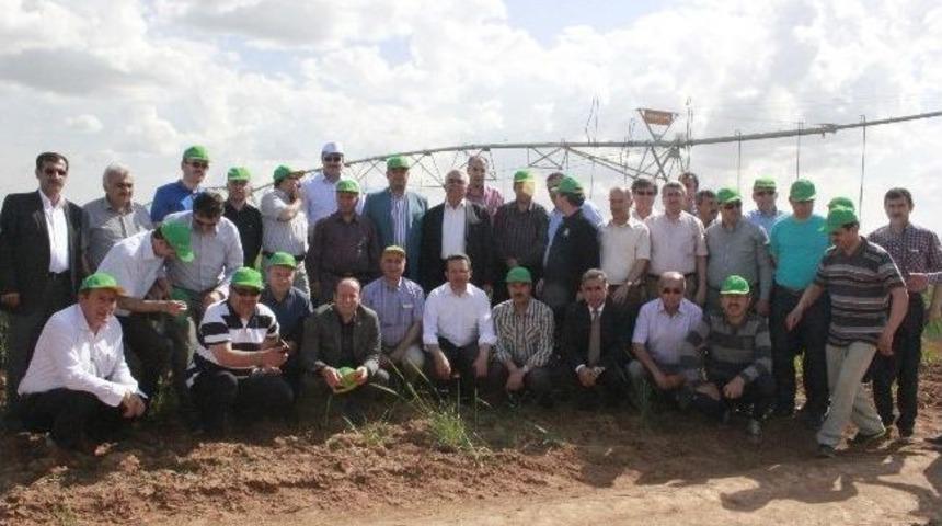 Ceylanpınar Tigem&rsquo;de Uygulamalı Seminer