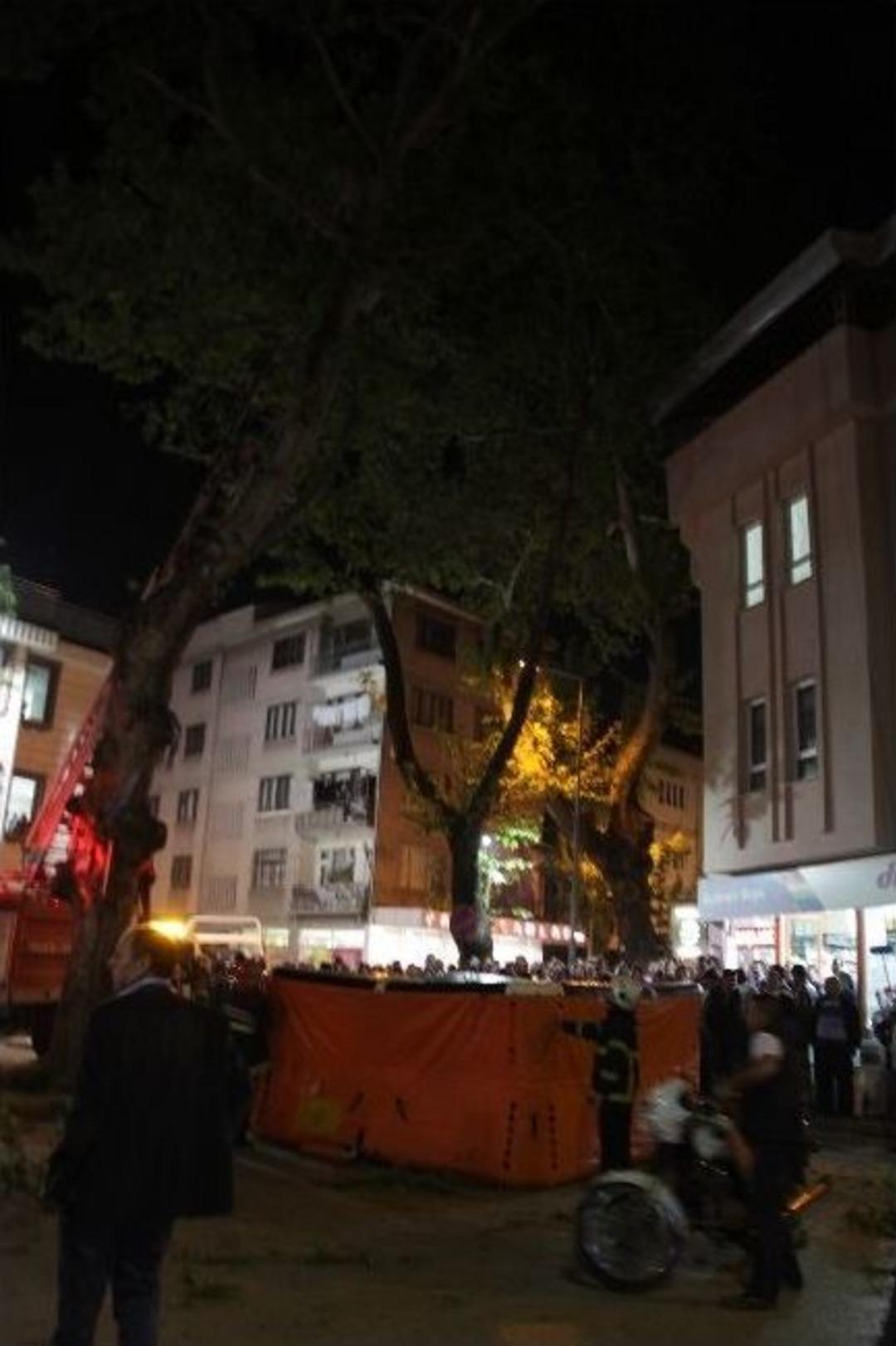 Motosikletine El Koyulan Gen&ccedil;, Ağaca &Ccedil;ıkarak İntihar Etmek İstedi