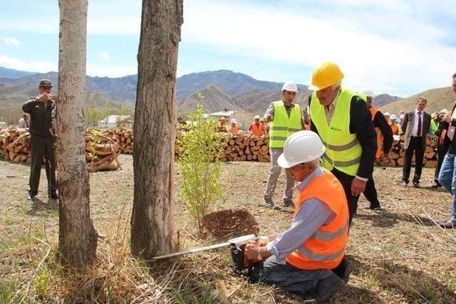 Orman İşçilerine Ağaç Kesme Ve Boylama Kursu