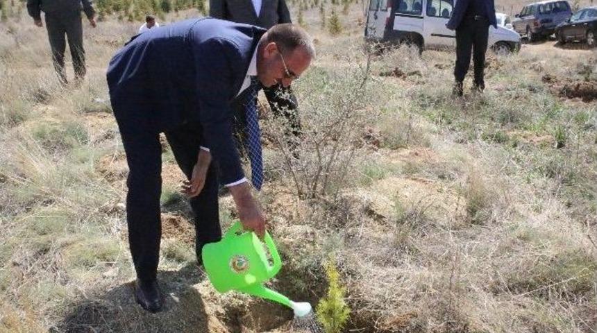 Yağlıpınar&rsquo;da Beş Bin Fidan Dikildi
