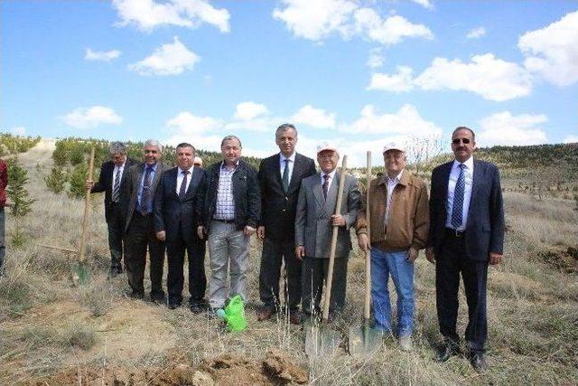 Yağlıpınar’da Beş Bin Fidan Dikildi