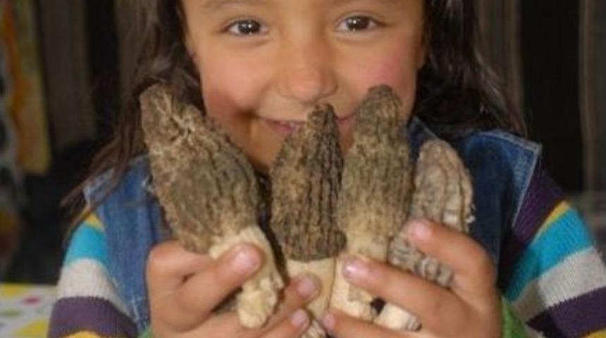 Kuzug&ouml;beği Mantar Festivali 25-27 Nisan&rsquo;da