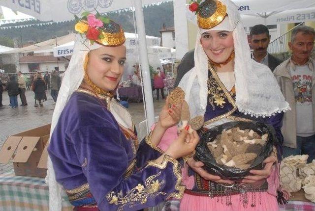 Kuzugöbeği Mantar Festivali 25-27 Nisan’da