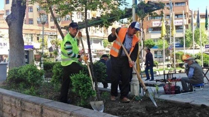 Sungurlu &Ccedil;i&ccedil;eklerle Bezeniyor
