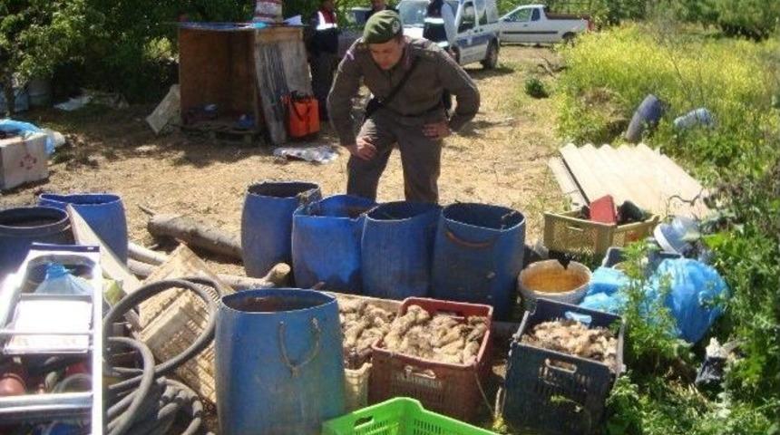 Bursa&rsquo;da Ka&ccedil;ak Sakatat Ele Ge&ccedil;irildi
