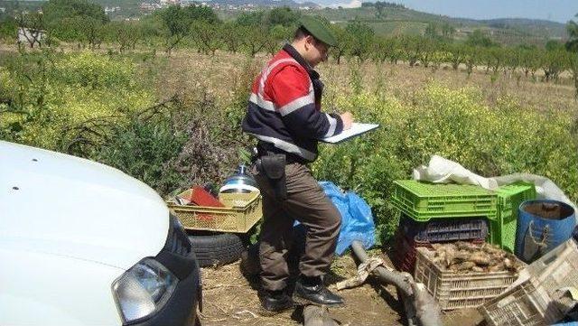 Bursa’da Kaçak Sakatat Ele Geçirildi