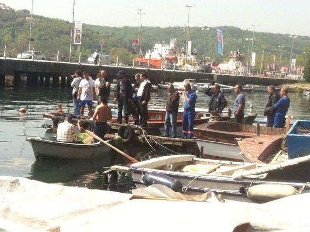 Yolunu Şaşıran Yavru Yunus İ&ccedil;in Balık&ccedil;ılar Seferber Oldu 3