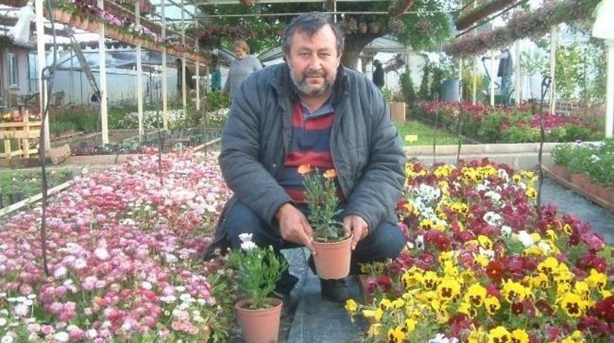 Makine M&uuml;hendisi, Başarılı Bir &Ccedil;i&ccedil;ek&ccedil;i Oldu