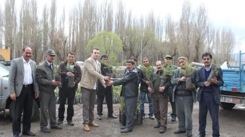 Başkan Sertoğlu, "15 Bin Fidan Dağıtımı Yaptık"