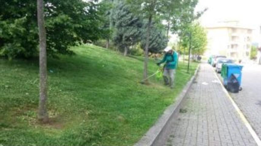 Kartepe&rsquo;de Bahar Bakımı Başladı